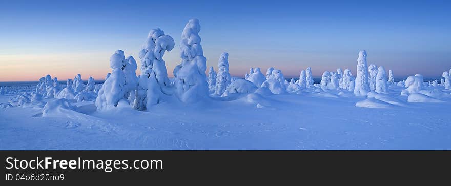 Northern Ural Mountains. Fantastic snow figures on trees. Frosty morning on border with Siberia. Northern Ural Mountains. Fantastic snow figures on trees. Frosty morning on border with Siberia.