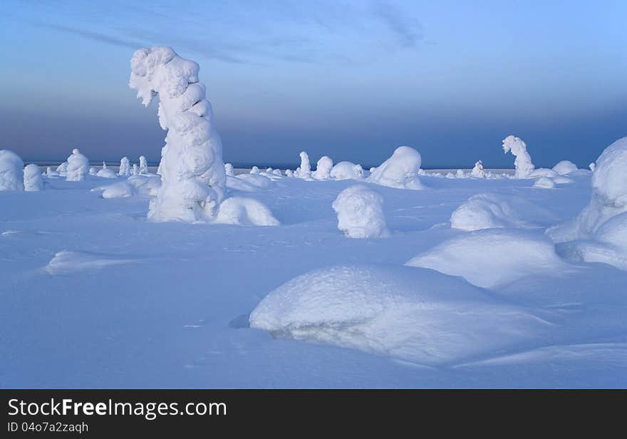 Northern Ural Mountains. Fantastic snow figures on trees. Frosty morning on border with Siberia. Northern Ural Mountains. Fantastic snow figures on trees. Frosty morning on border with Siberia.