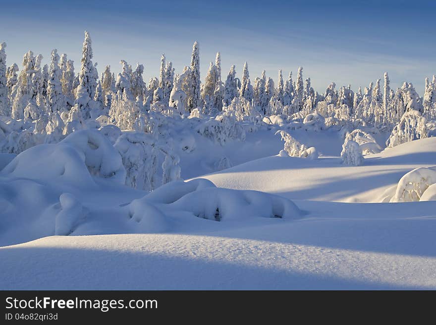 Northern Ural Mountains. Fantastic snow figures on trees. Frosty morning on border with Siberia. Northern Ural Mountains. Fantastic snow figures on trees. Frosty morning on border with Siberia.