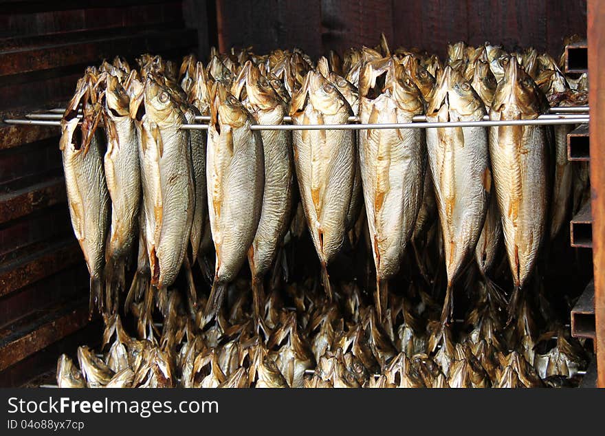 Prepared Kippers Hanging in a Smoking Cabinet. Prepared Kippers Hanging in a Smoking Cabinet.