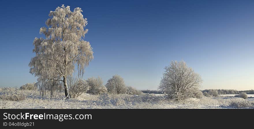 Northern Ural Mountains. Fantastic snow figures on trees. Frosty morning on border with Siberia. Northern Ural Mountains. Fantastic snow figures on trees. Frosty morning on border with Siberia.