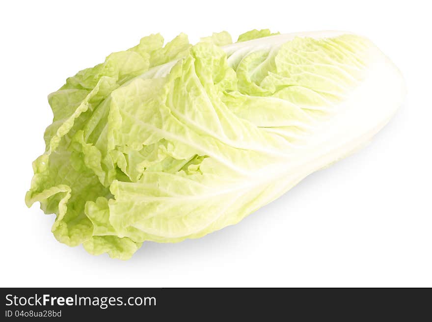 White lettuce