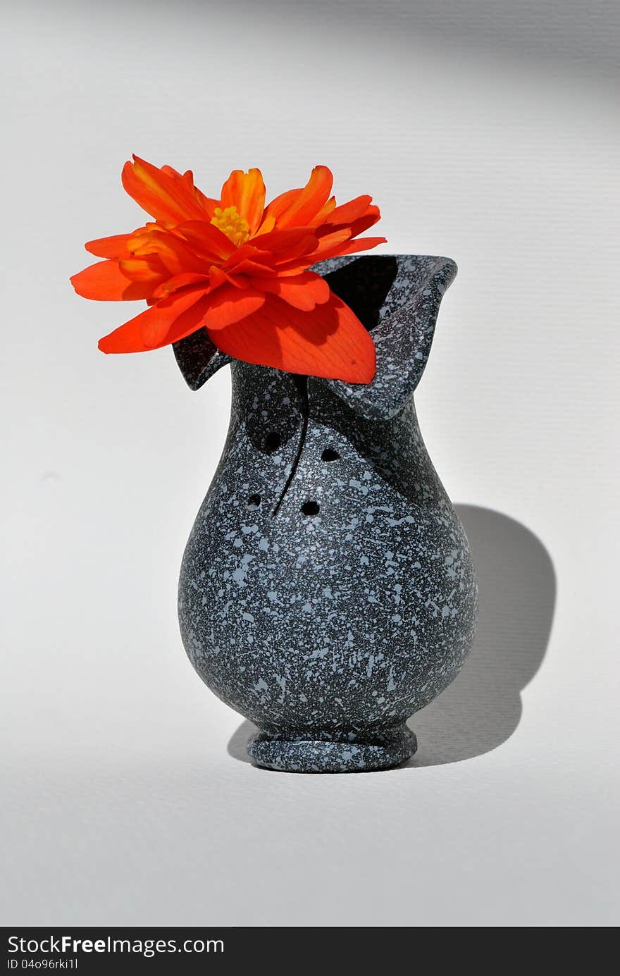 Vase With Flower