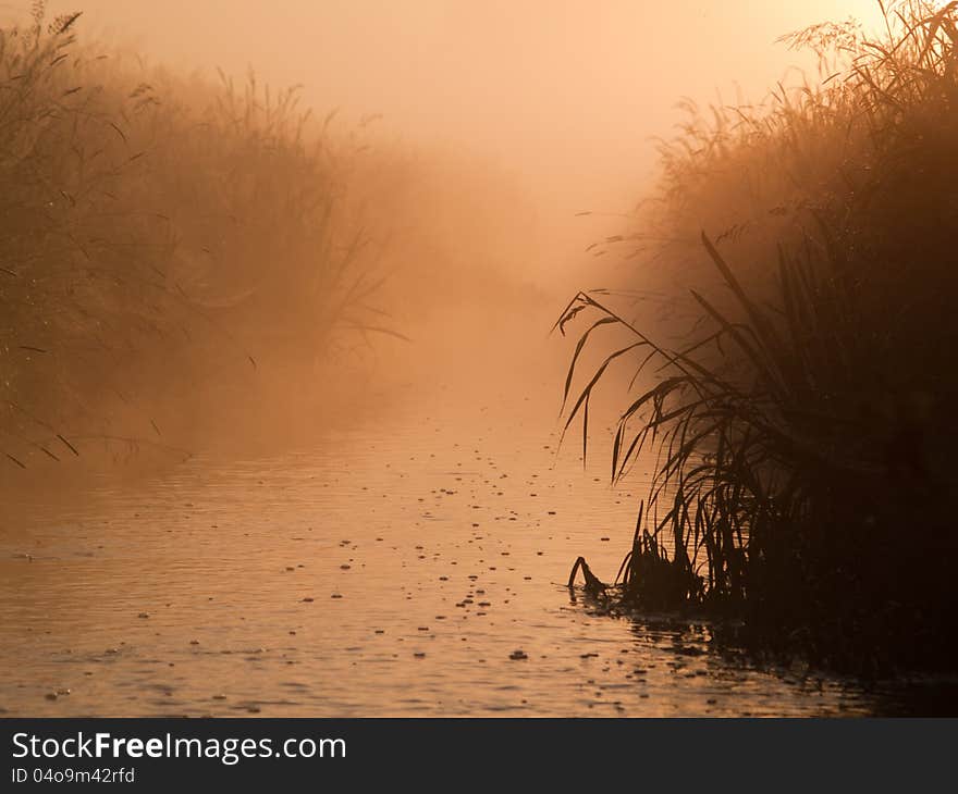 Misty River