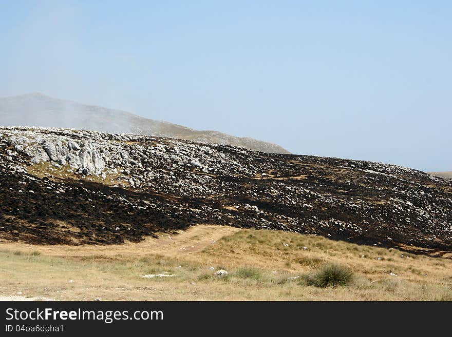 Burned dry grass on mountain in Bosnia and Herzegovina