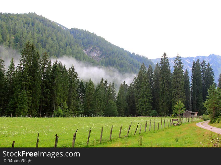 A peaceful evening landscape of the forest and field in Achenkirch - Tyrol, Austria. A peaceful evening landscape of the forest and field in Achenkirch - Tyrol, Austria