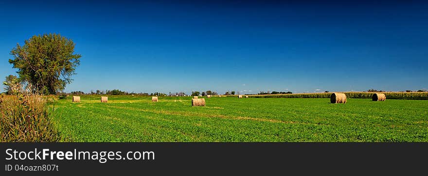 Hay Field on a summer day.