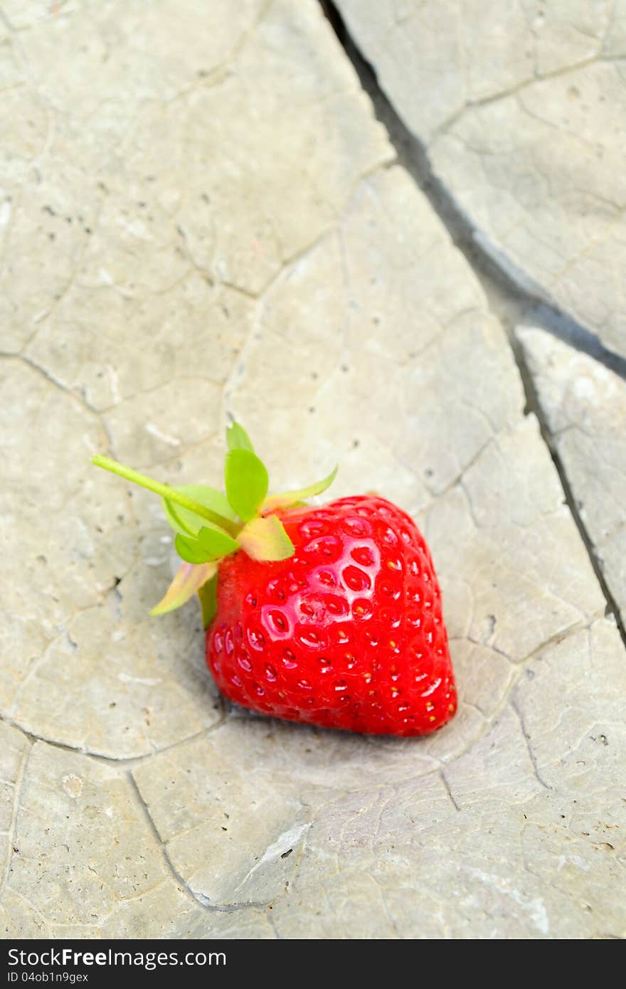 Strawberry on the rhubarb leaf in concrete. Strawberry on the rhubarb leaf in concrete