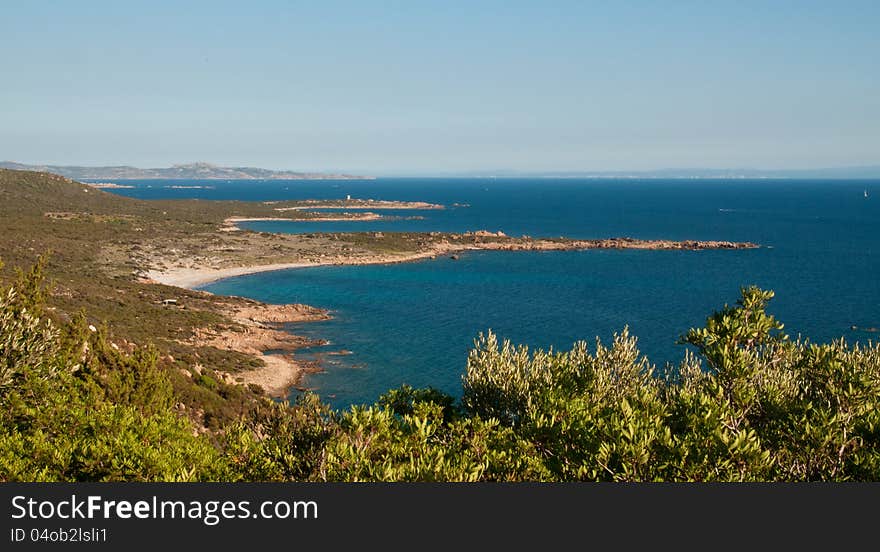 Green coast of Corsica near Bonifacio