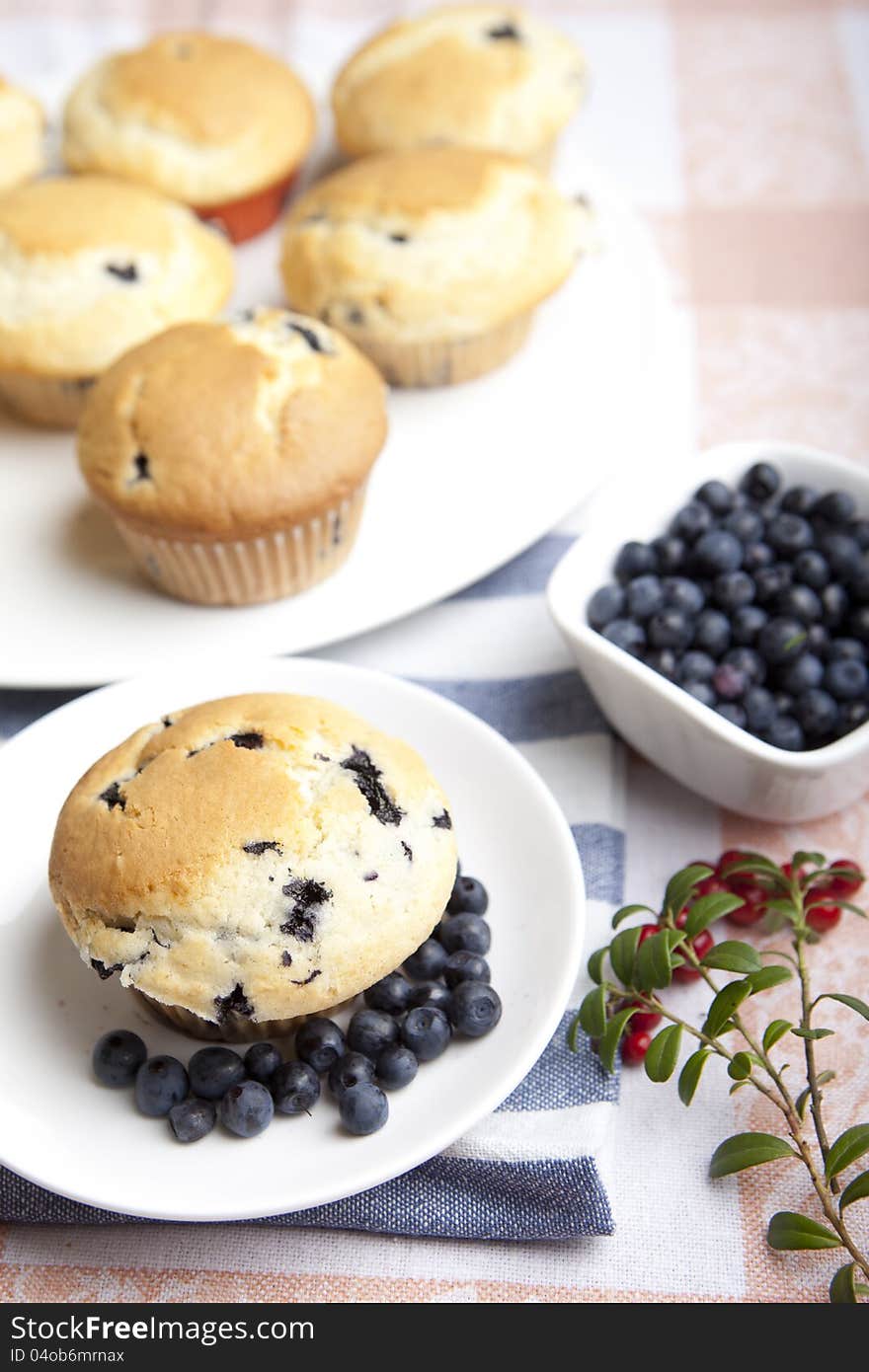 Blueberry Muffins