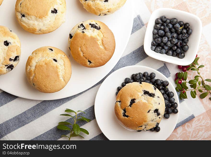 Hot homemade blueberry muffins just from oven