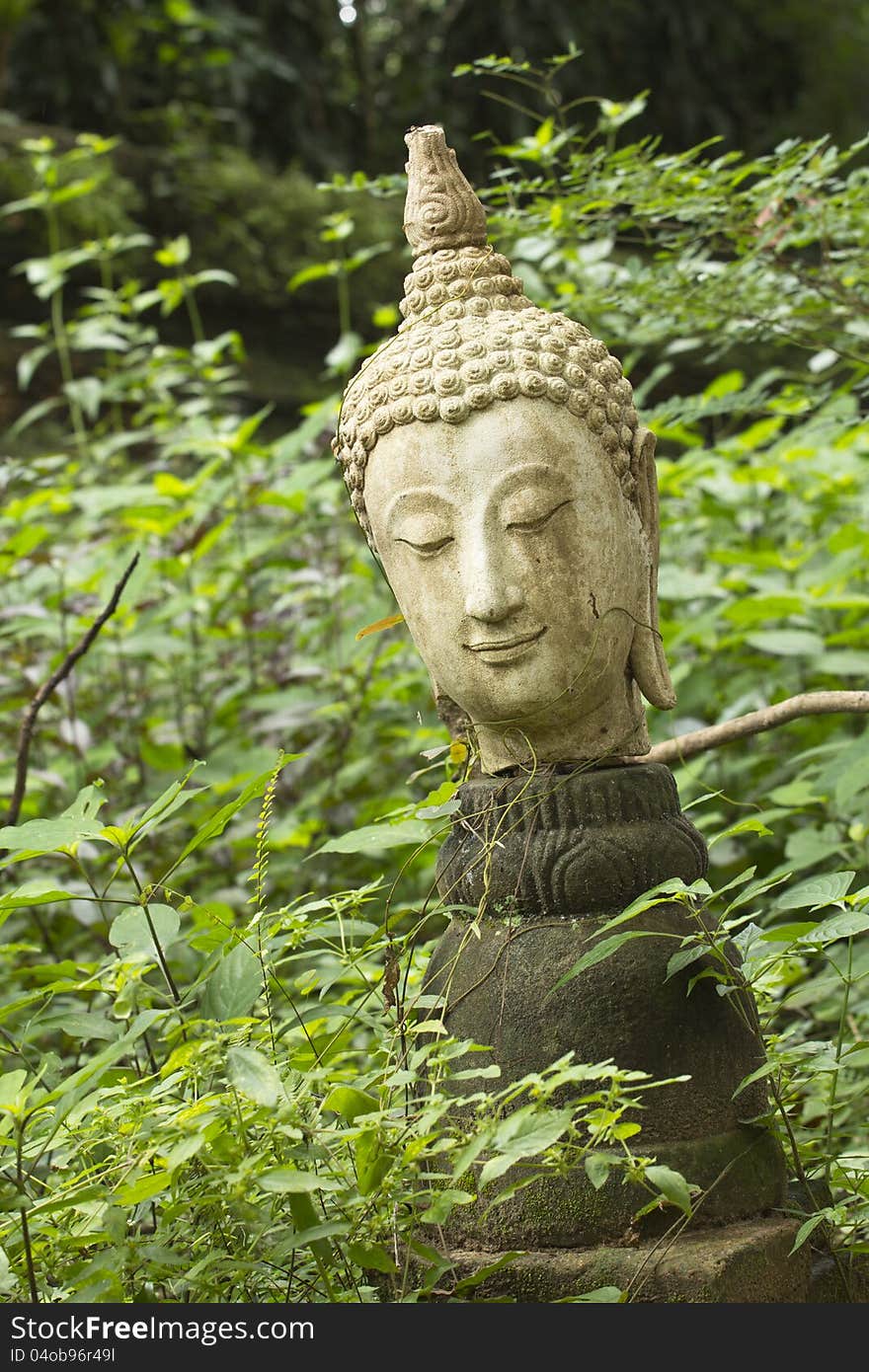 Stone Buddha head sculpture in the forest