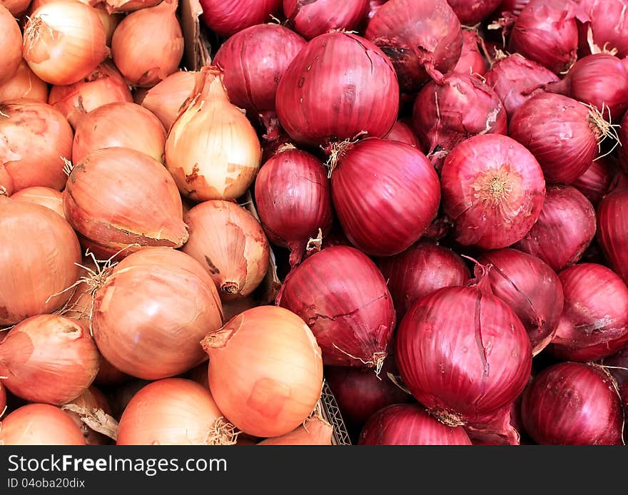 White and red onions