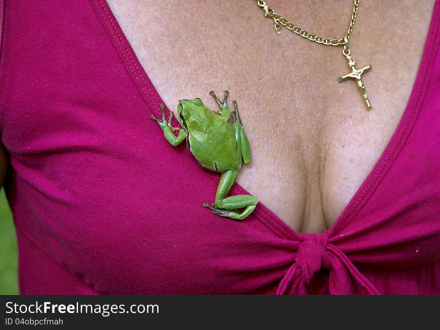 Tree-frog