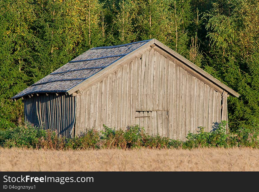 An abandoned country barn standing in front of a forest.