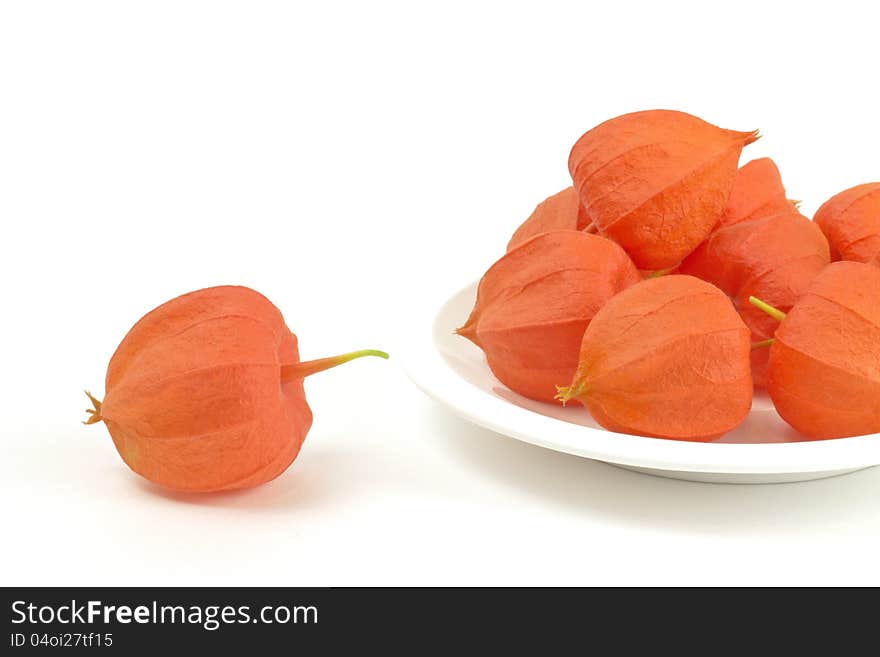 Physalis