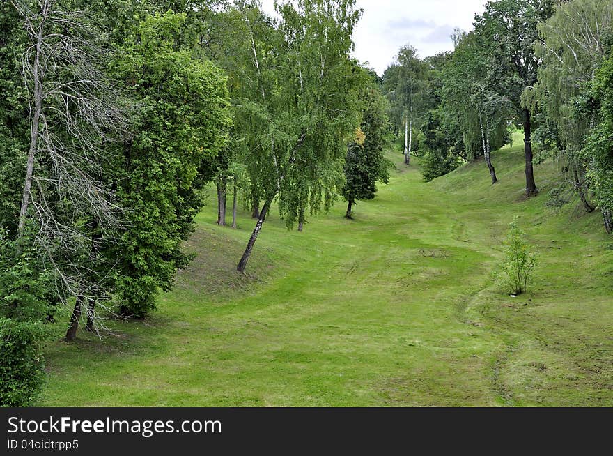 Summer landscape ravine and forest