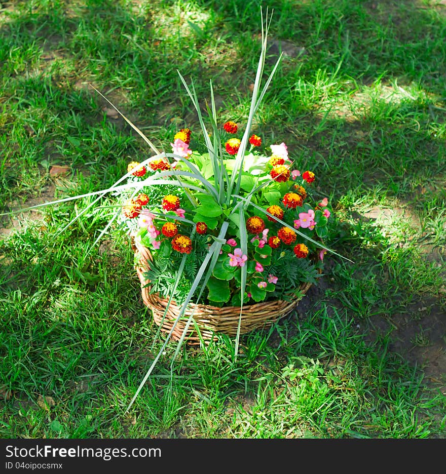 Beautiful basket of flowers in the garden landscape