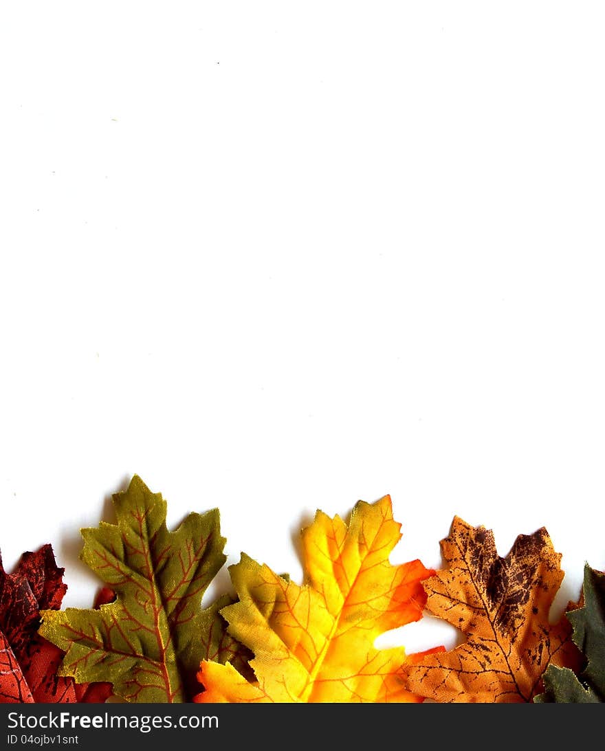 Colorful autumn leaves isolated on a white backgro