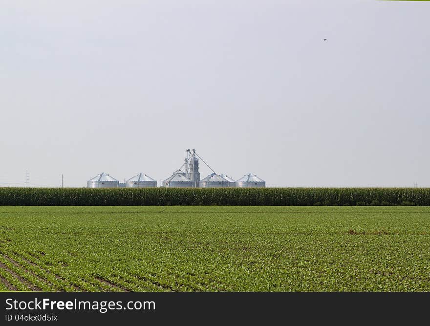 Silos in the Corn