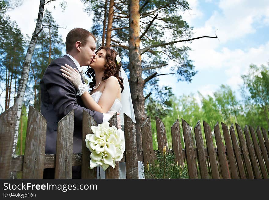 Kiss bride and groom about wooden fence near forest