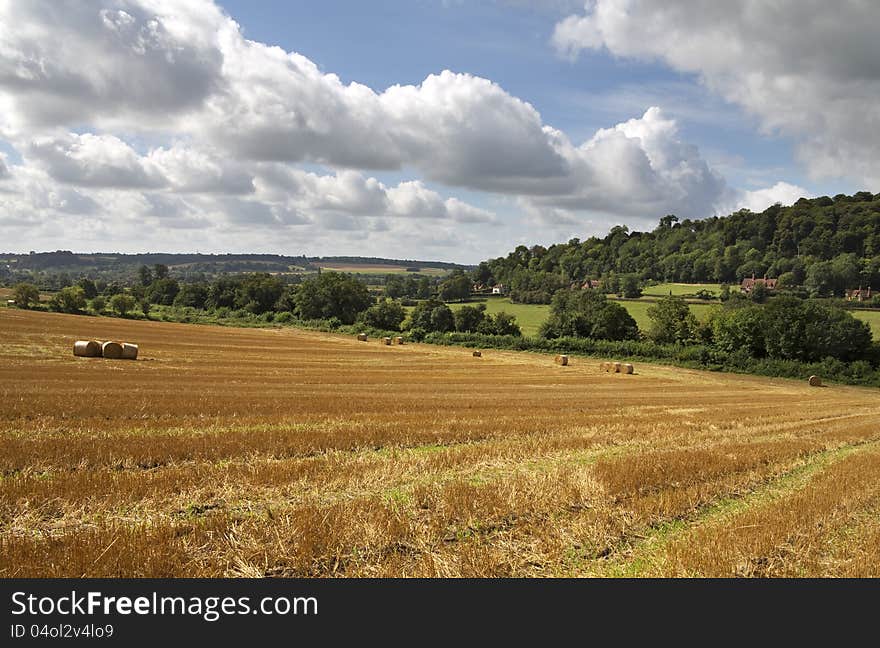 An English Rural Landscape in the Chiltern Hills