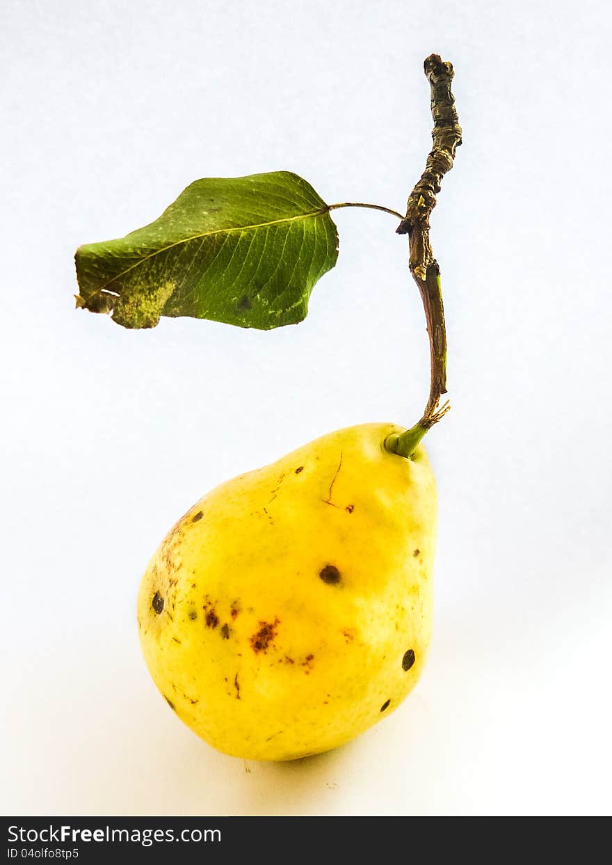 One yellow pear with dry leaf