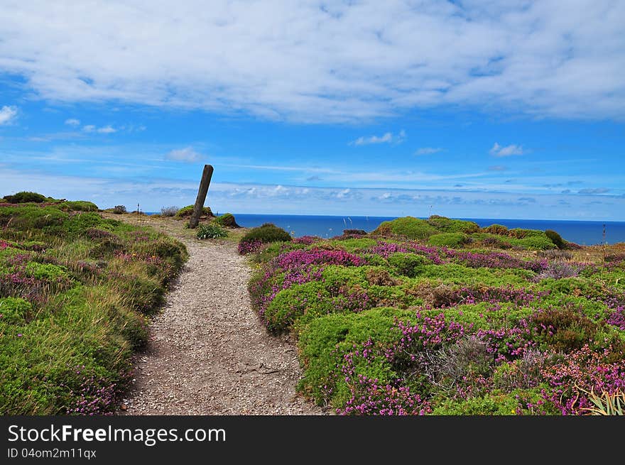 Cabo penas, Asturias, Spain