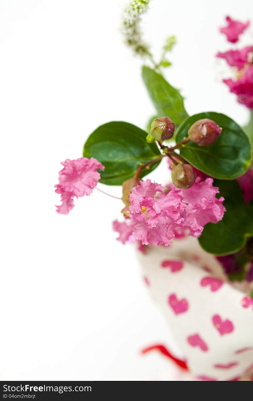 Bouquet of pink crepe myrtle