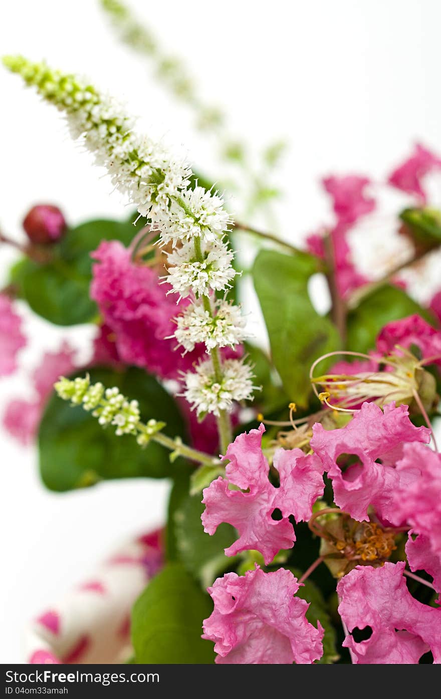 Bouquet Of Pink Crepe Myrtle