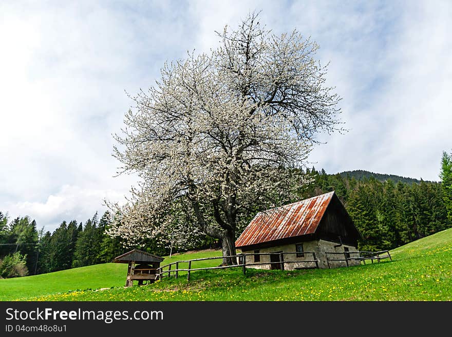 Seasonal house on the hills, Slovenia