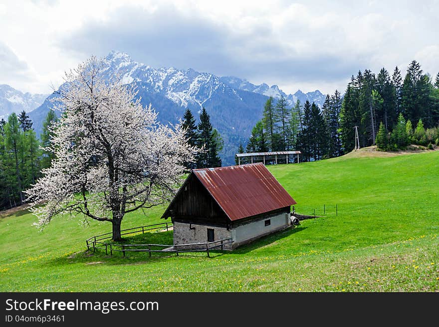 The small wooden hut, somewhere in Slovenian mountains. The small wooden hut, somewhere in Slovenian mountains.