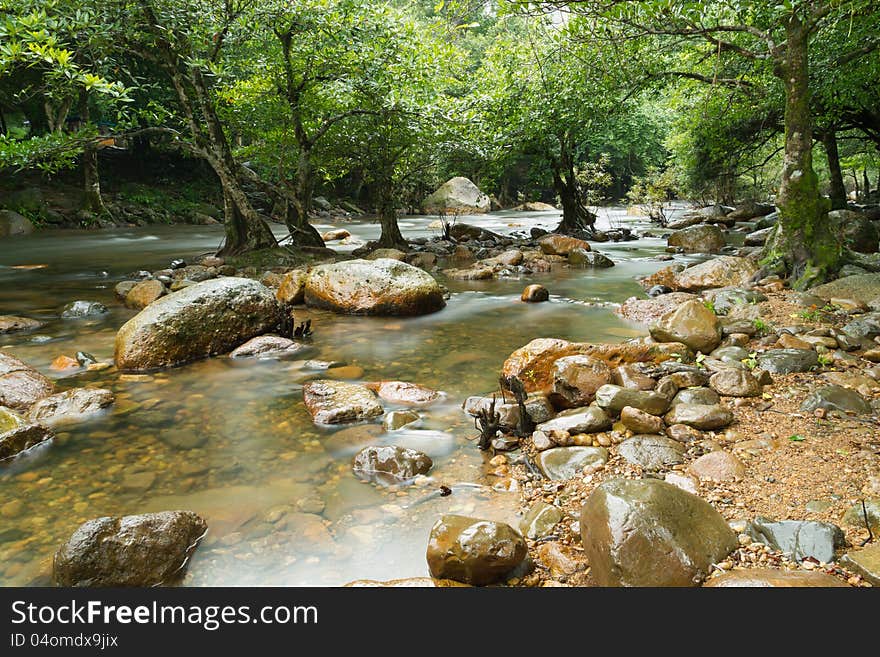 Water stream and stone in forest on rainy season. Water stream and stone in forest on rainy season