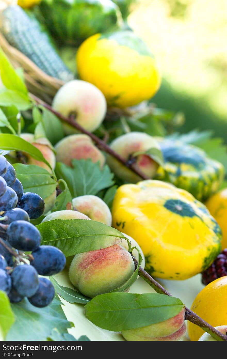 Harvest is on the table. Harvest is on the table