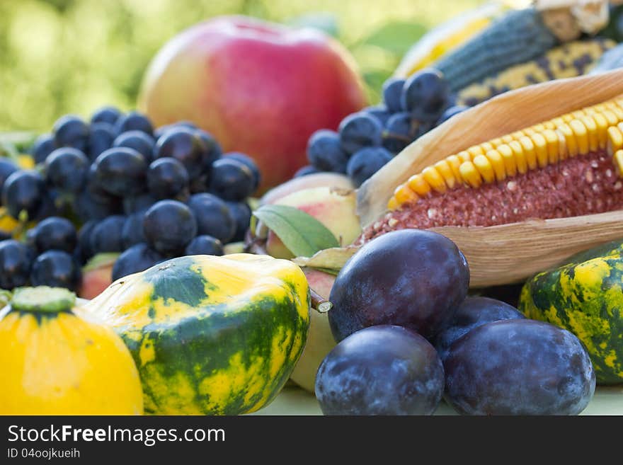 Harvest is on the table - Fall is getting closer and closer. Harvest is on the table - Fall is getting closer and closer