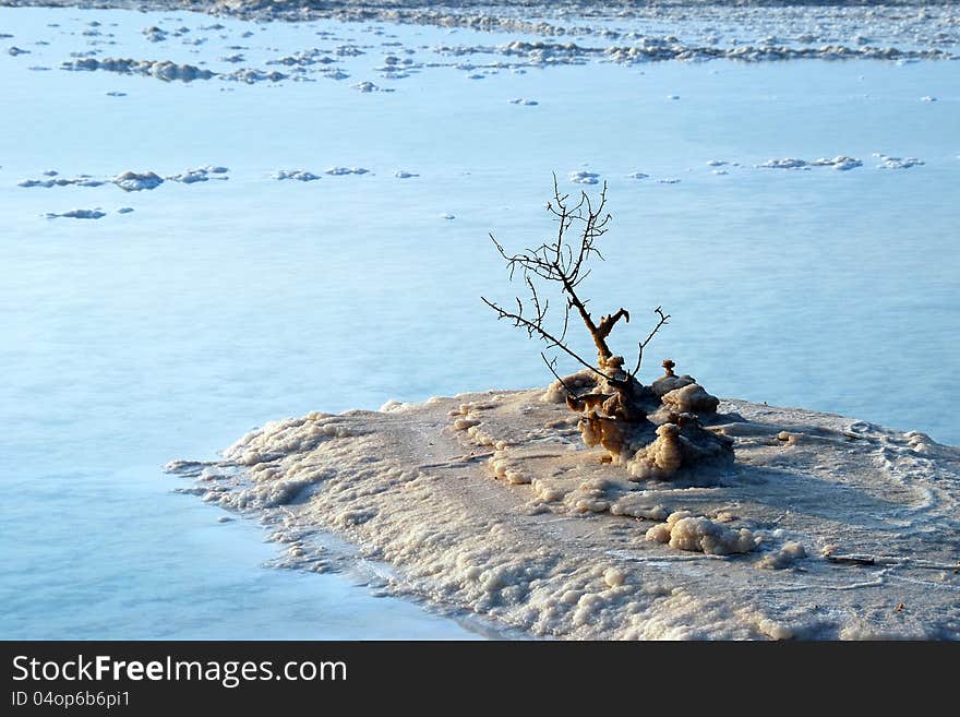 Hydrochloric outgrowths on the coast of Dead Sea. Hydrochloric outgrowths on the coast of Dead Sea