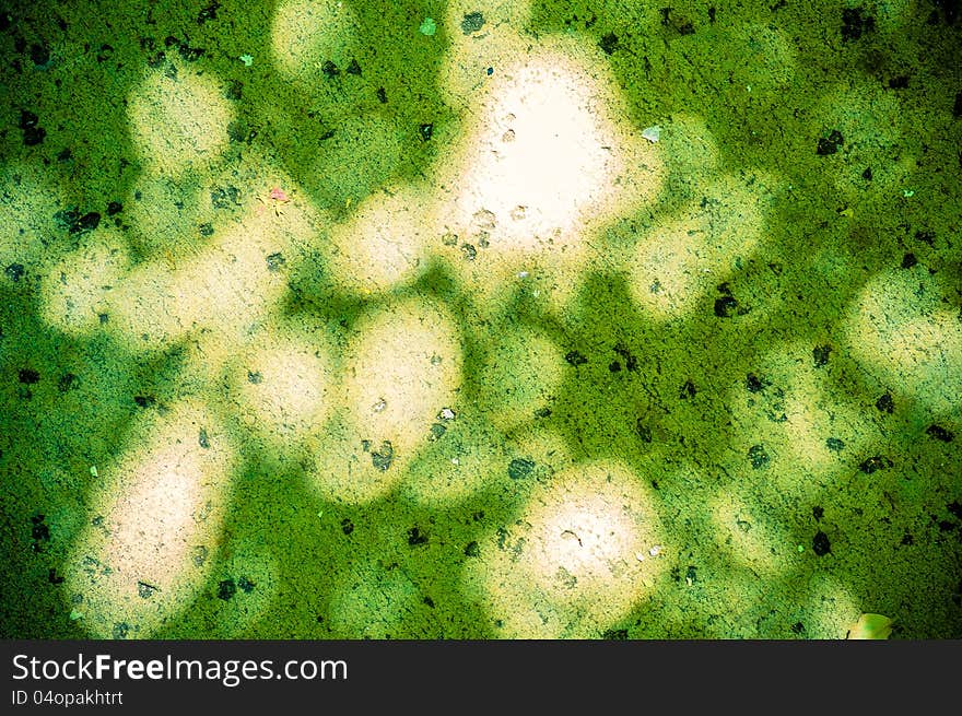 Light and shadow cast on a concrete background and given a green tint. Light and shadow cast on a concrete background and given a green tint.