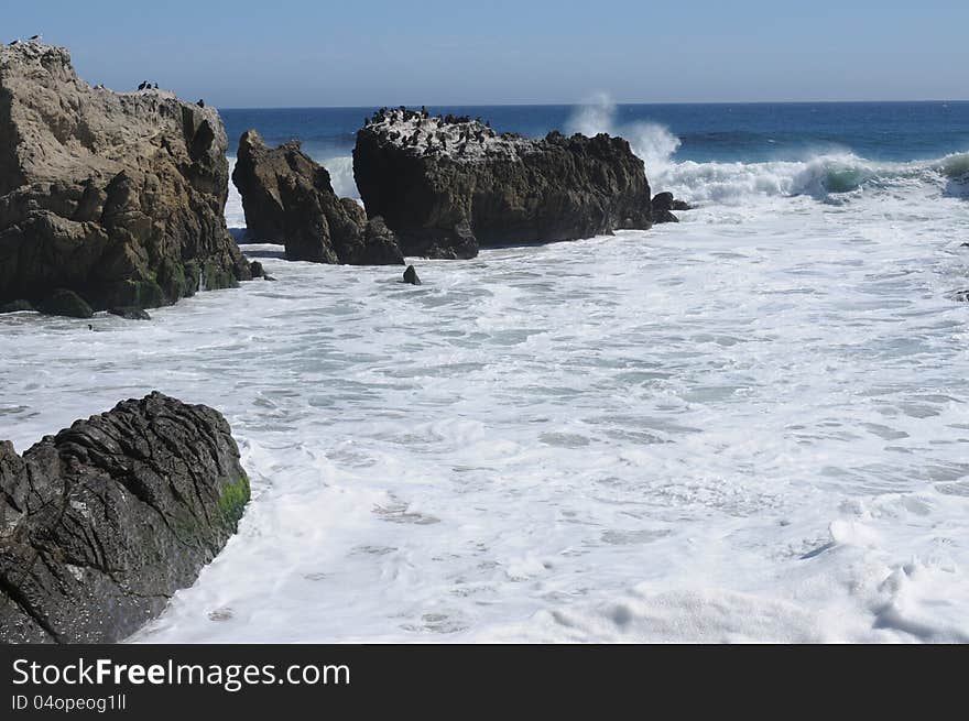 Surf, sun beach, comorants