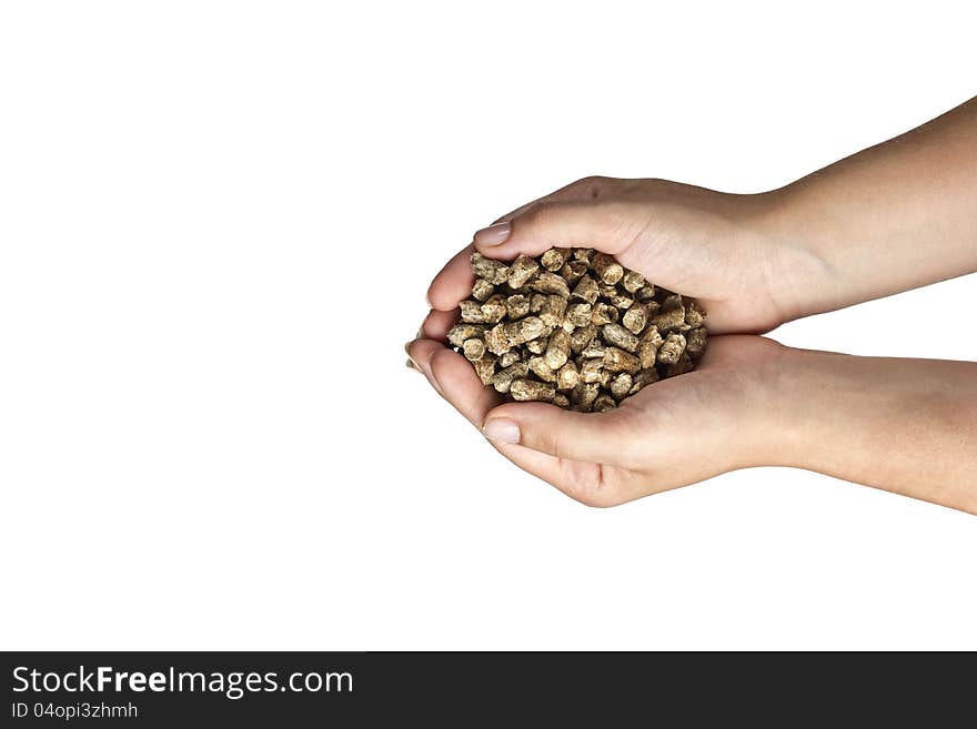 Hands with natural wood pellet on a white background. Hands with natural wood pellet on a white background.