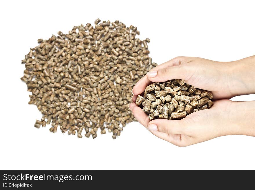 Hands with natural wood pellet. Hands with natural wood pellet.