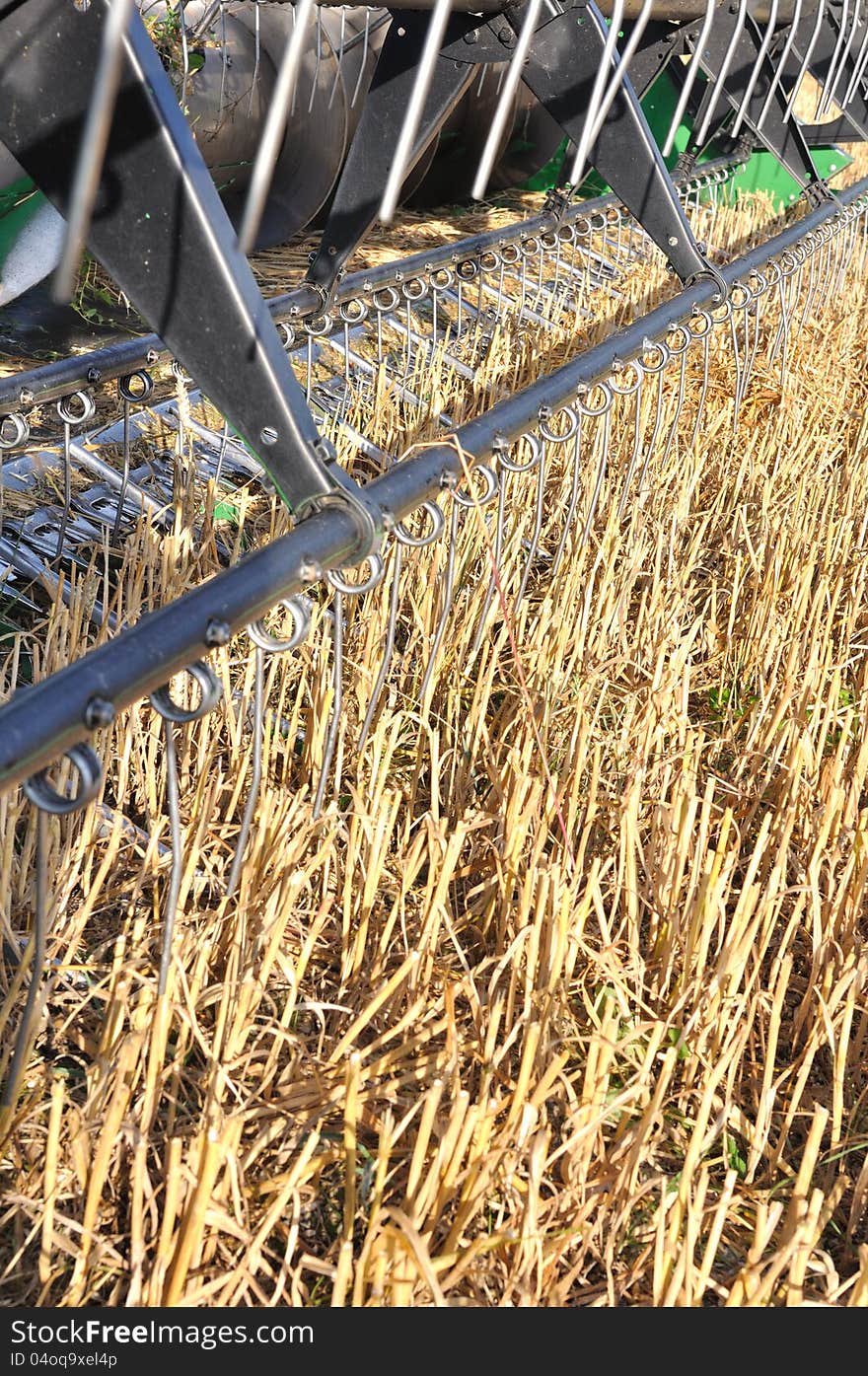 Cutting a field of wheat