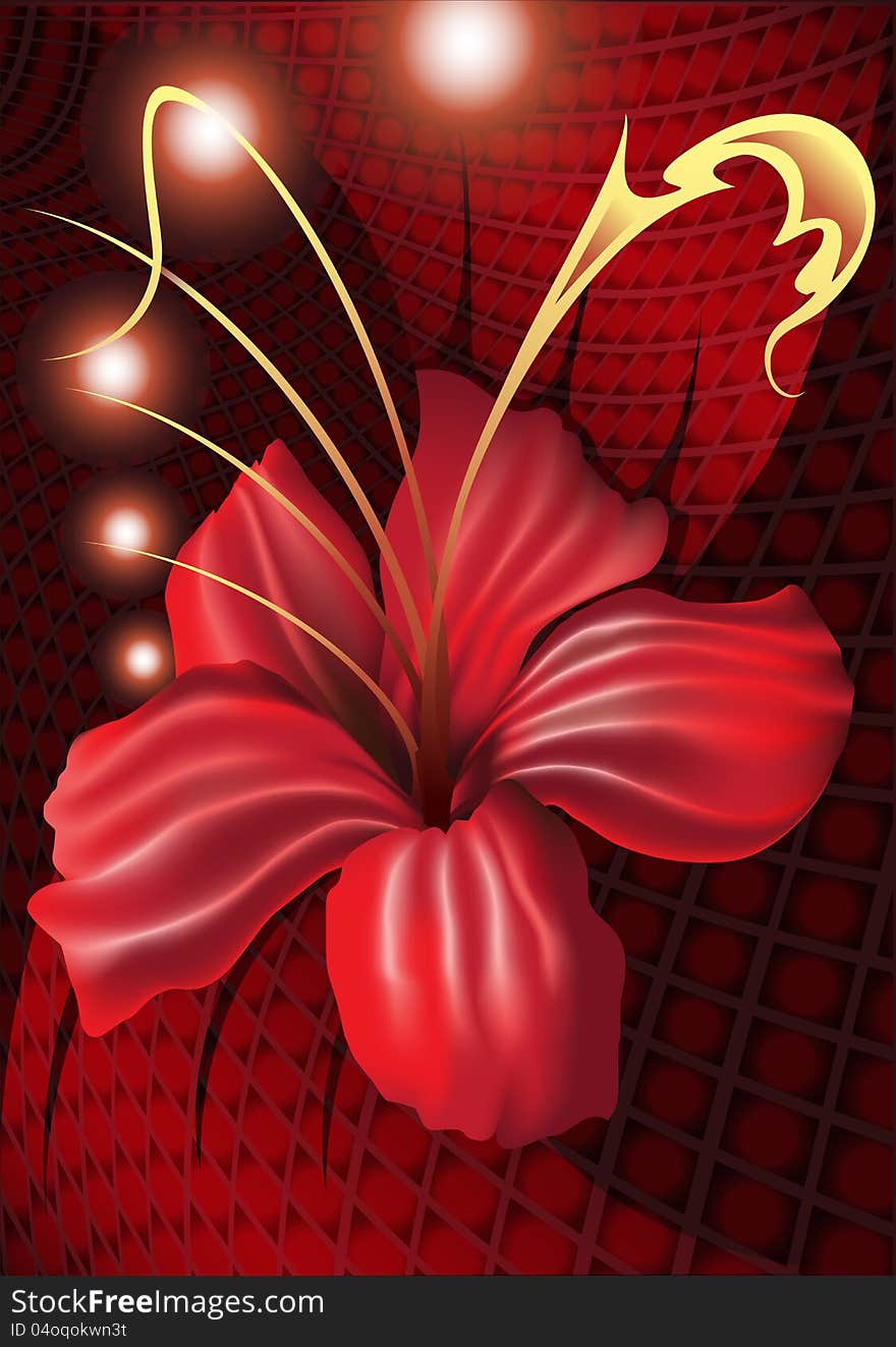 Red_orchid