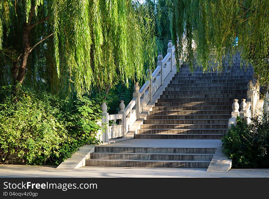 Willows and steps