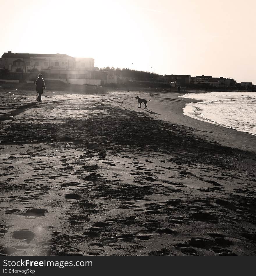 Autumn beach