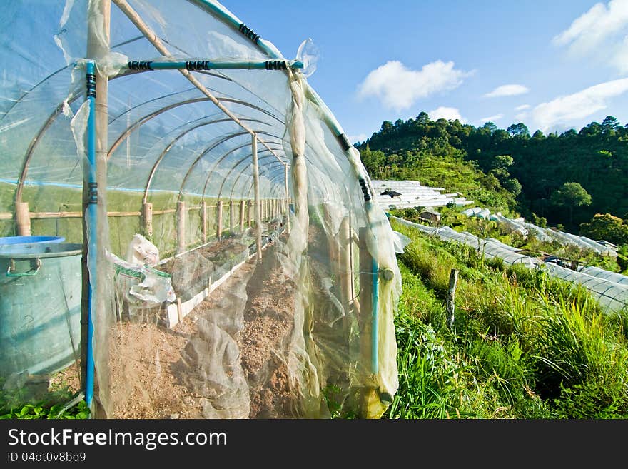 A hydroponic farming for save enviroment. A hydroponic farming for save enviroment