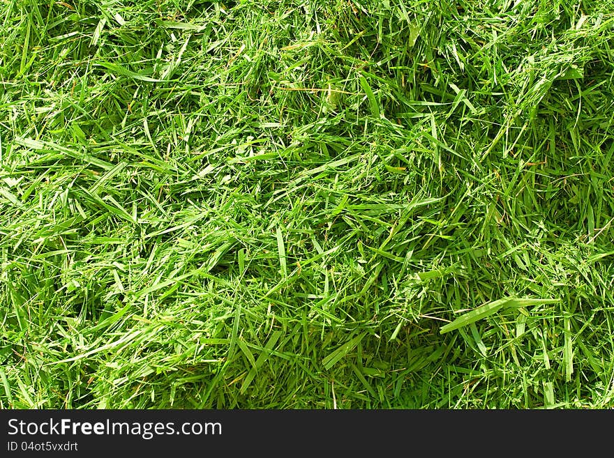 The grass mown and combined in a stack. Background, texture. The grass mown and combined in a stack. Background, texture