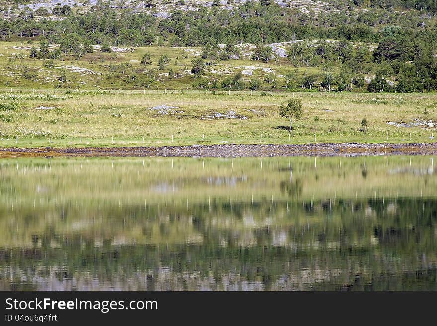 Reflections In Countryside Ocean