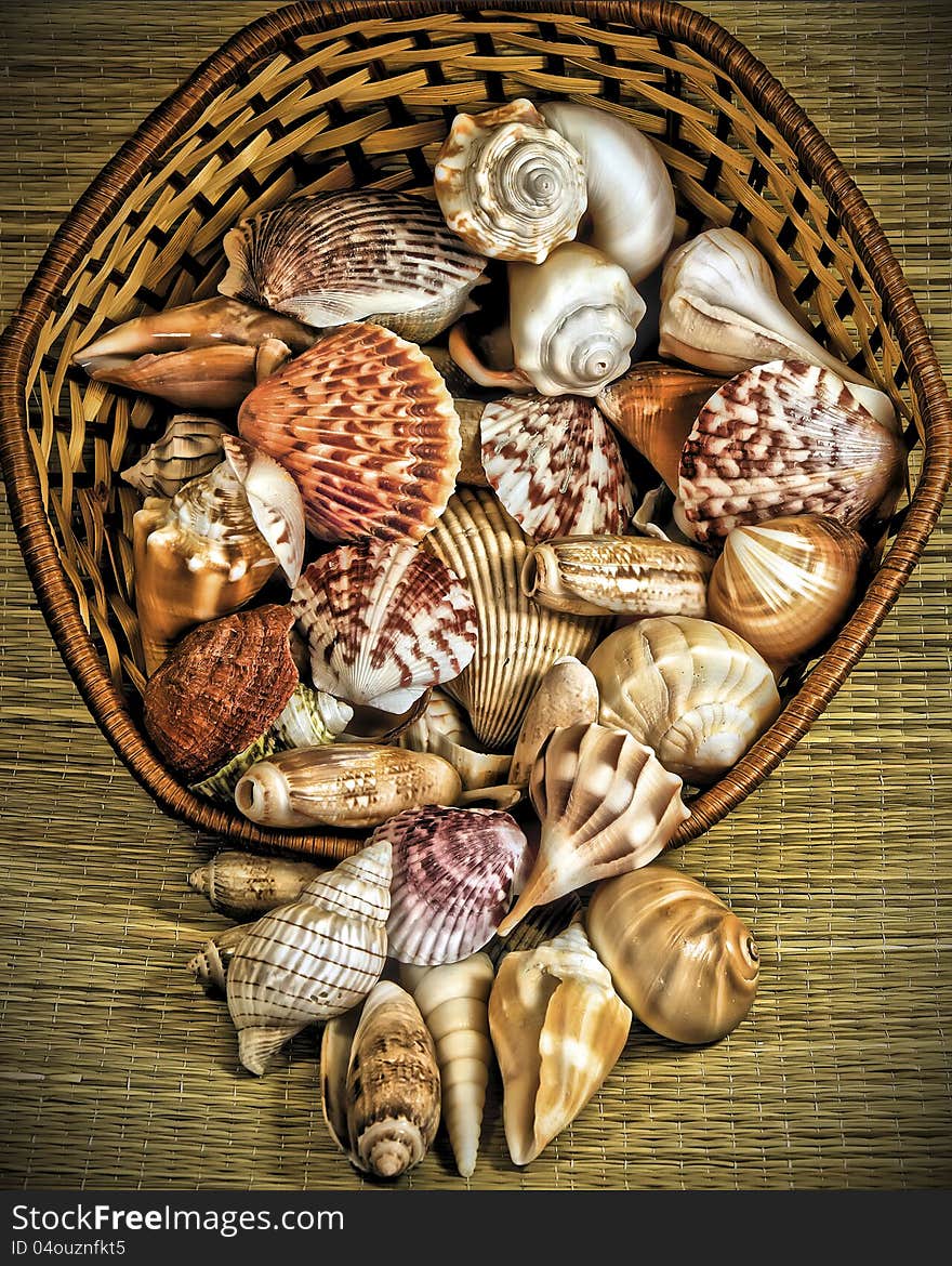 A still life image of a collection of shells spilling from a basket with subtle HDR treatment. A still life image of a collection of shells spilling from a basket with subtle HDR treatment.