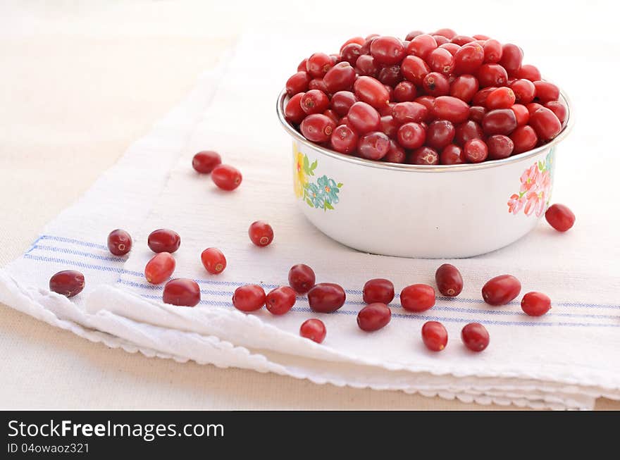 Red cornel in old-styled bowl