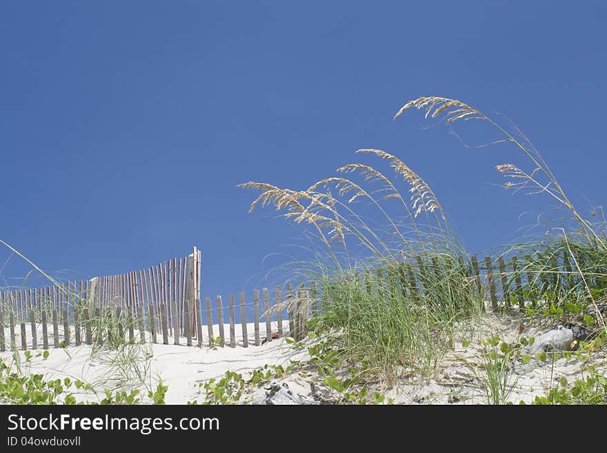 Deserted beach with wood picket fence. Deserted beach with wood picket fence